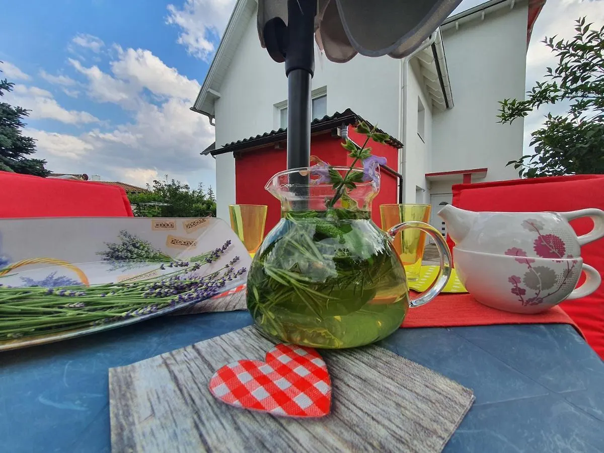 Naturgespuer In Wien Apartment Austria