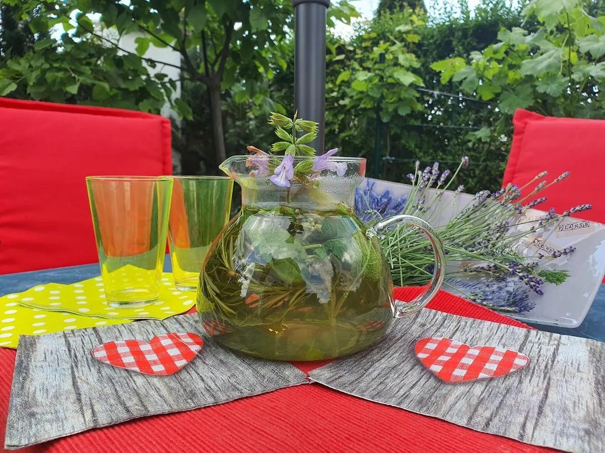 Naturgespuer In Wien Apartment