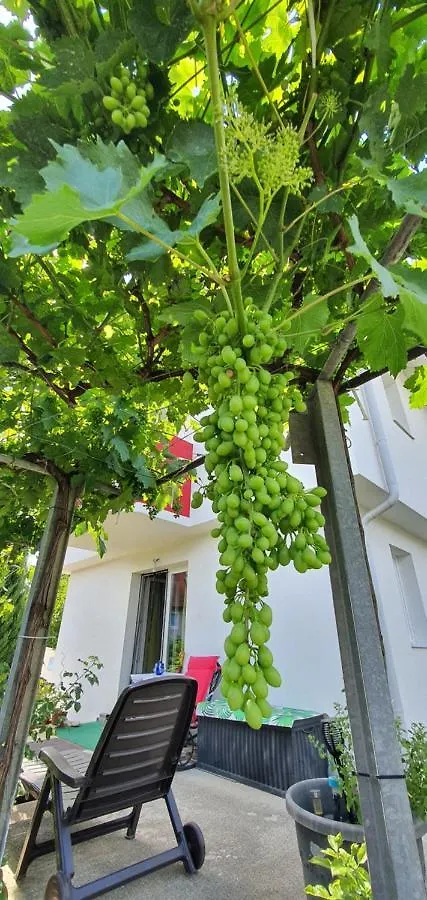 Naturgespuer In Wien Apartment